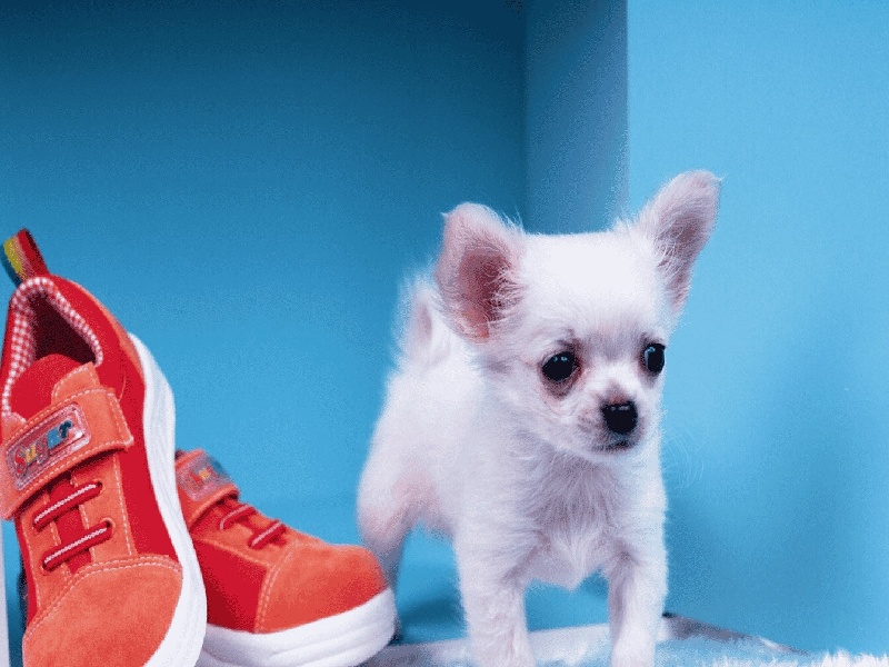 追踪试管婴儿（福州试管怎么报销）